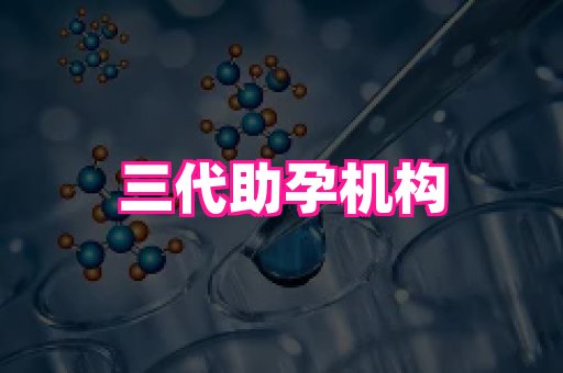 国际助孕网站 2