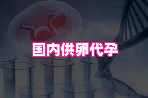 国际助孕网站 3