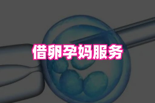国际助孕网站 4